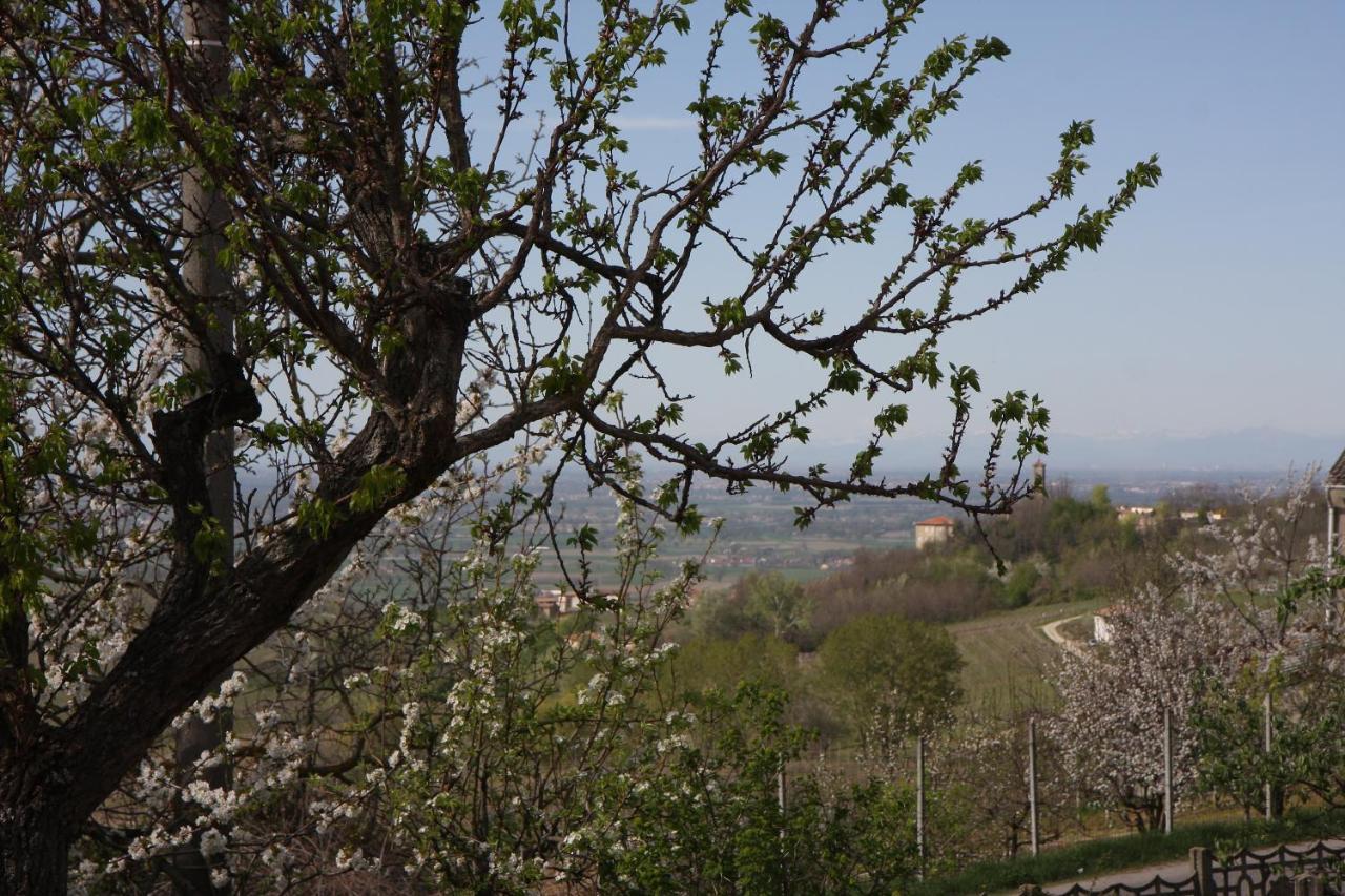 Gli Acini Bed and Breakfast Pietra dei Giorgi Εξωτερικό φωτογραφία