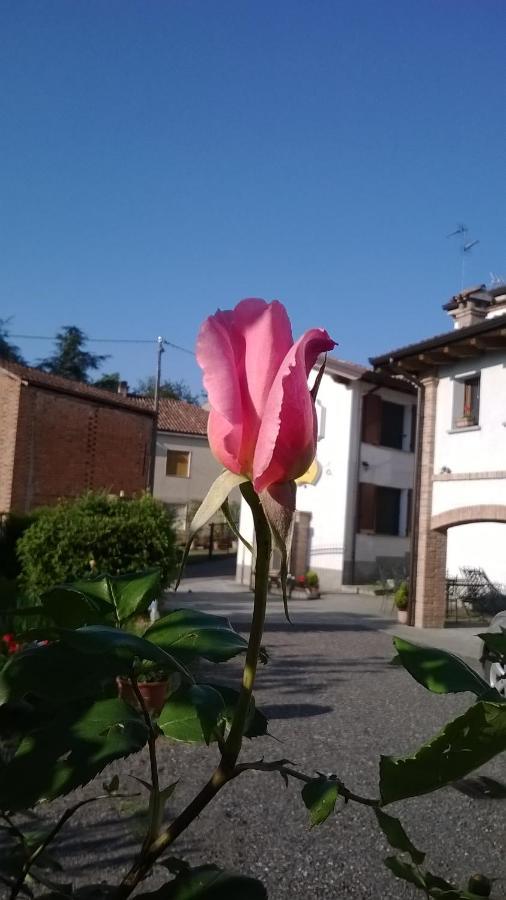 Gli Acini Bed and Breakfast Pietra dei Giorgi Εξωτερικό φωτογραφία
